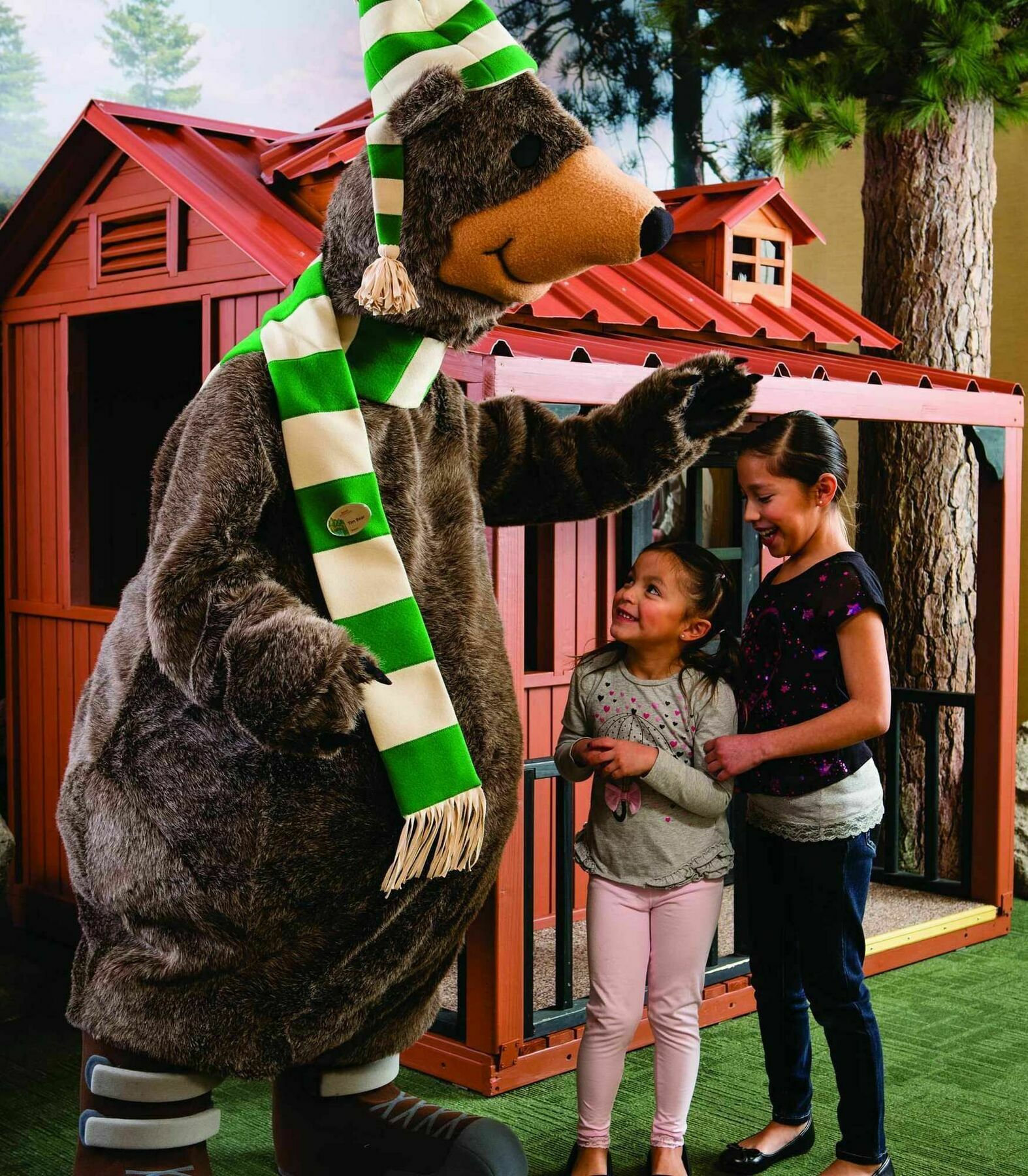 Marriott'S Timber Lodge South Lake Tahoe Luaran gambar